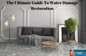 PureDry Restoration Seattle - Poster