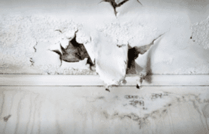 Water damage in ceiling spot