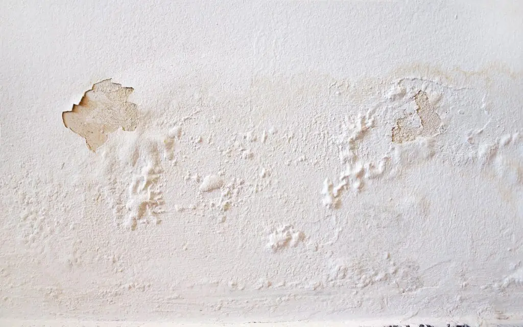 water damage on wall, paint peeling and bubbling