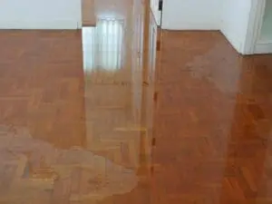 Water Damage on Basement Floor