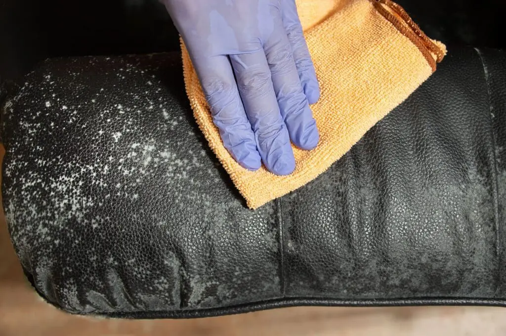 someone cleaning water damage sofa.