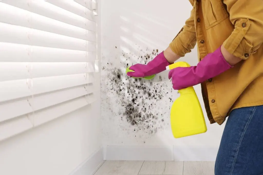 Mold Exposure and person is cleaning it