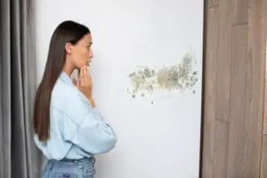 Mold on the wall