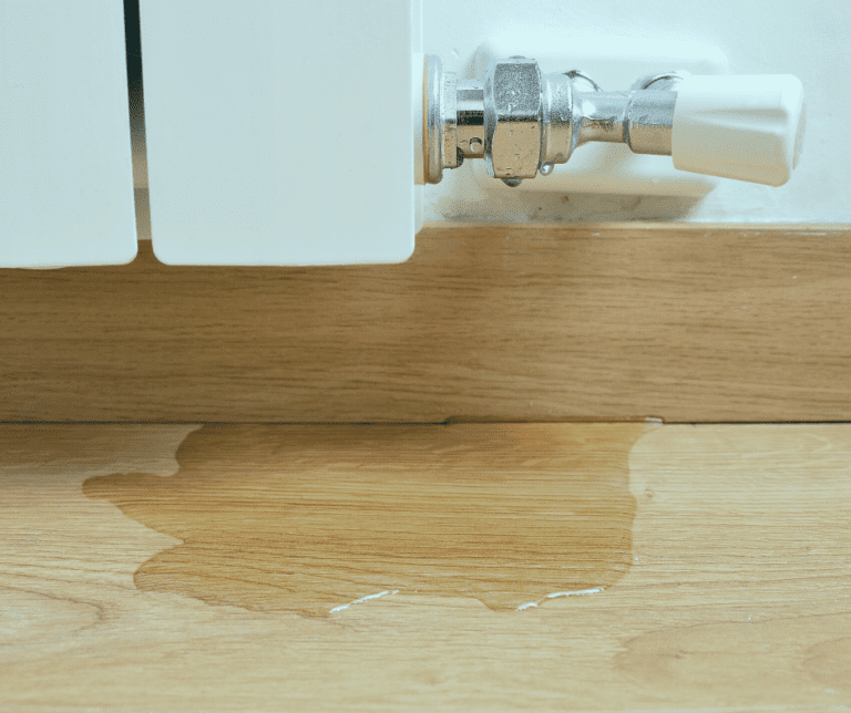 Pile of water on wood floor- learn to protect home from water damage