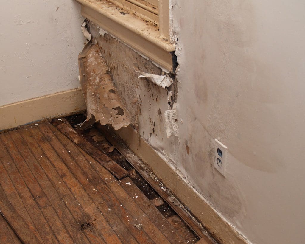 Wet Molded Wall Damage