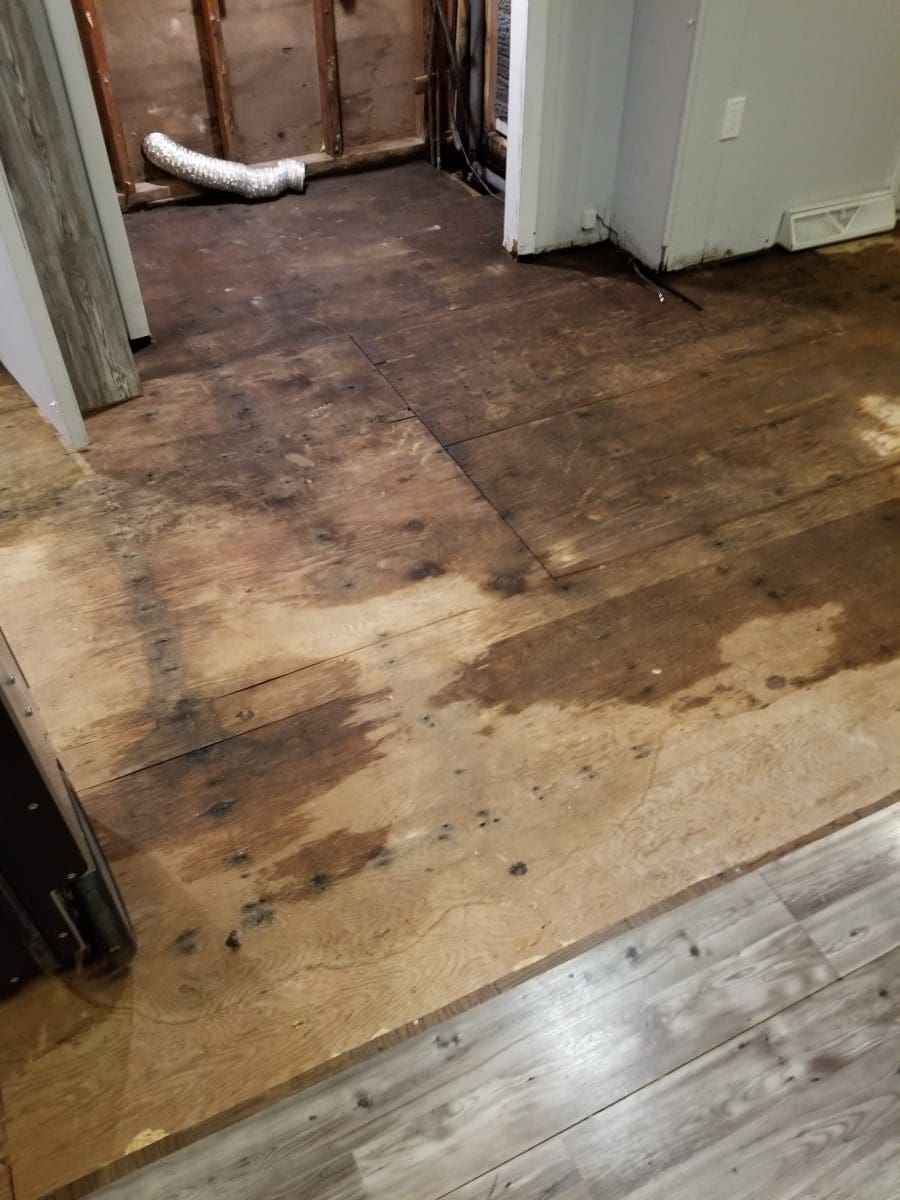 Hardwood floors discolored from water damage