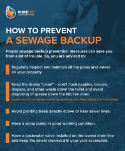 How To Prevent a Sewage Backup Poster