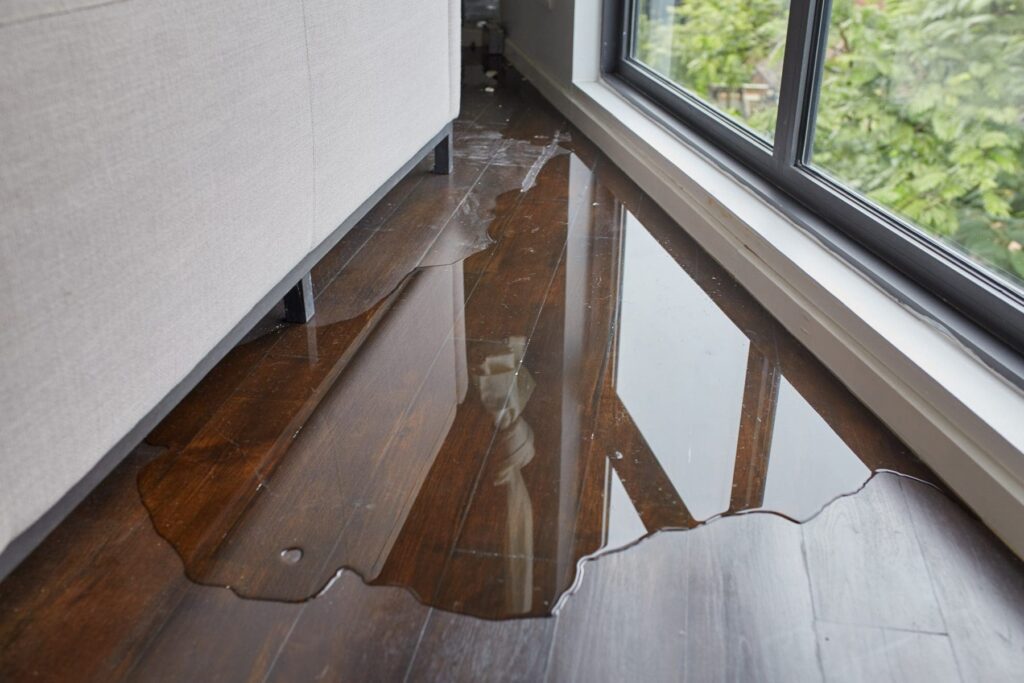 Wood Water damage