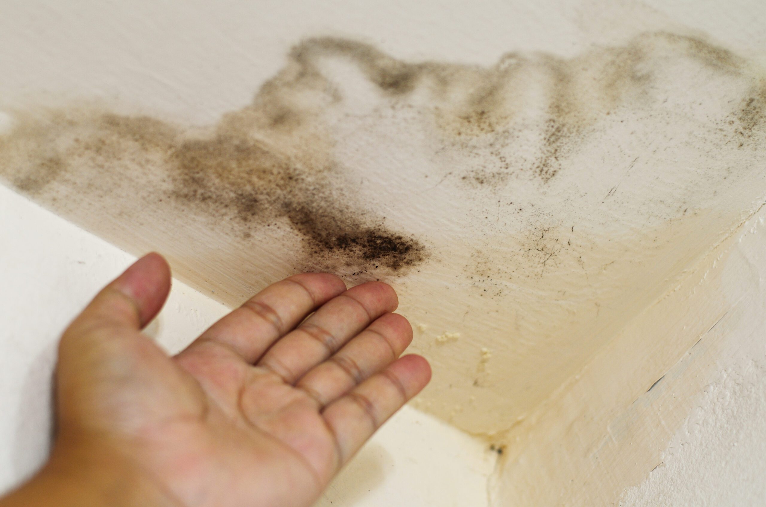 Read more about the article Ceiling Stains 101: How to Identify and Remove Water Damage Marks