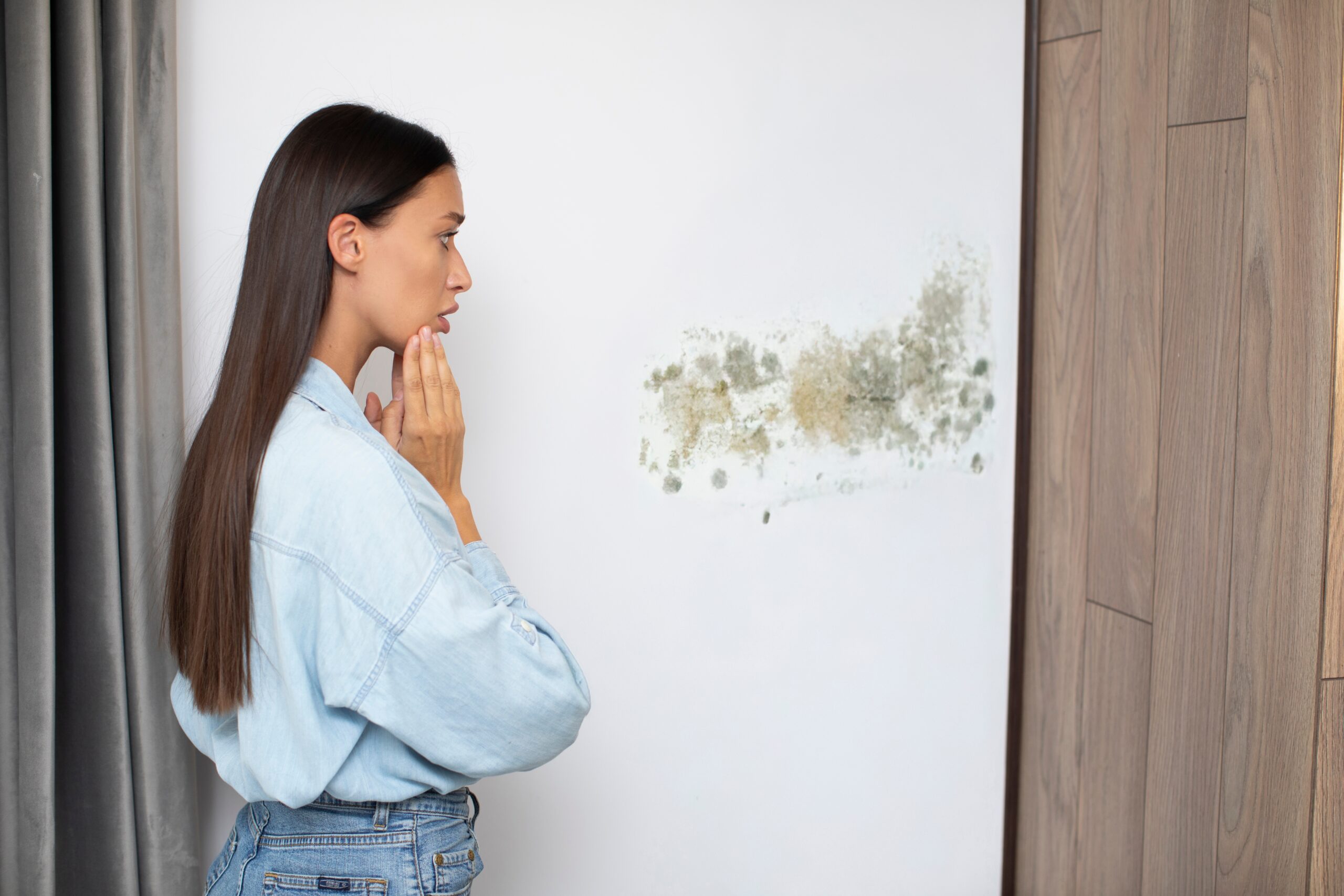 Read more about the article Mold vs. Mildew: How to Identify and Treat Each