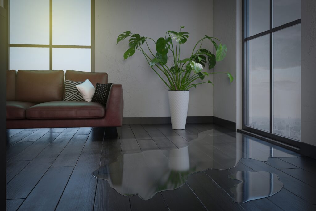 Water-Damaged Hardwood Floors