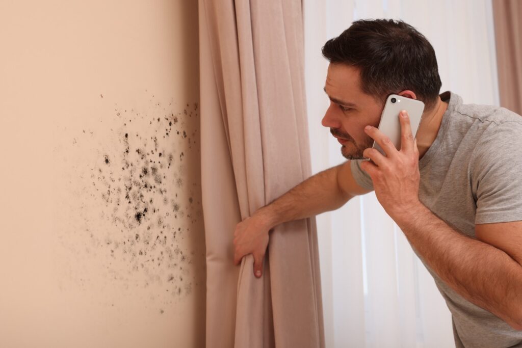 Mold removal service. Man talking on phone and looking at affected wall in room