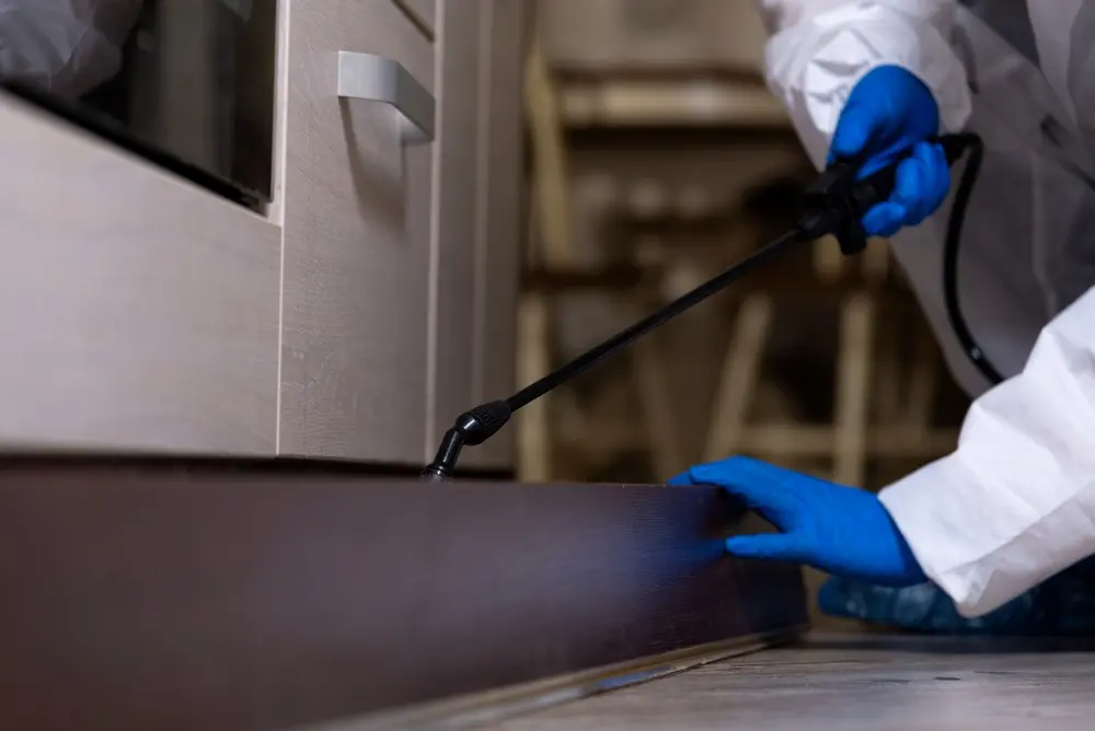 An exterminator in work clothes sprays pesticides with a spray gun.