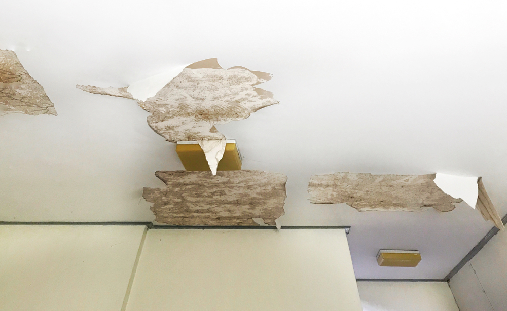  old peeling decay white gypsum board ceiling and lamp damage by water leaking from raindrop, moisture and dirty mold, bad living environment with disease and mildew, home renovation repairing concept