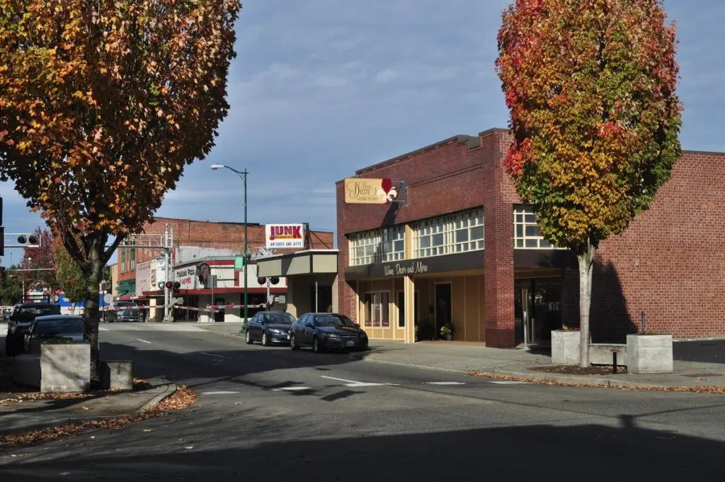 Puyallup, WA east side of 100 and 200 blocks of north meridian